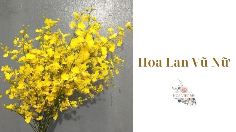 Hoa Lan Vũ Nữ