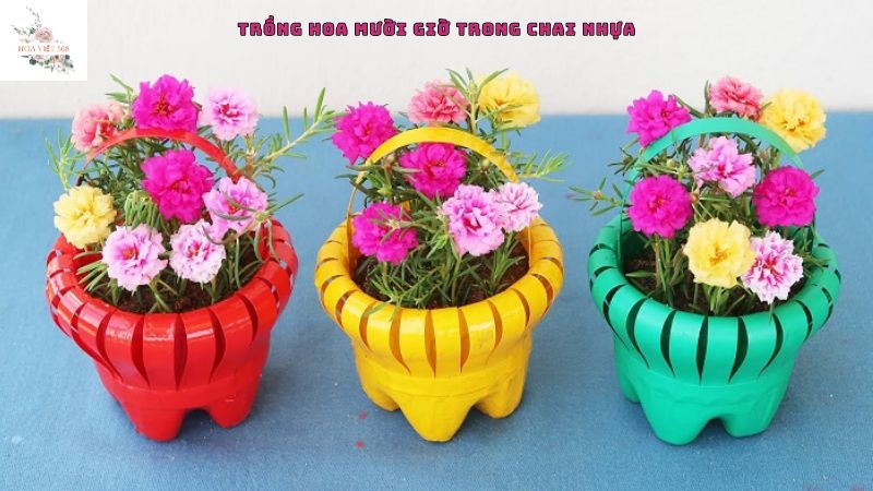 Cách tạo dáng chai nhựa thành chậu hoa nhựa đẹp